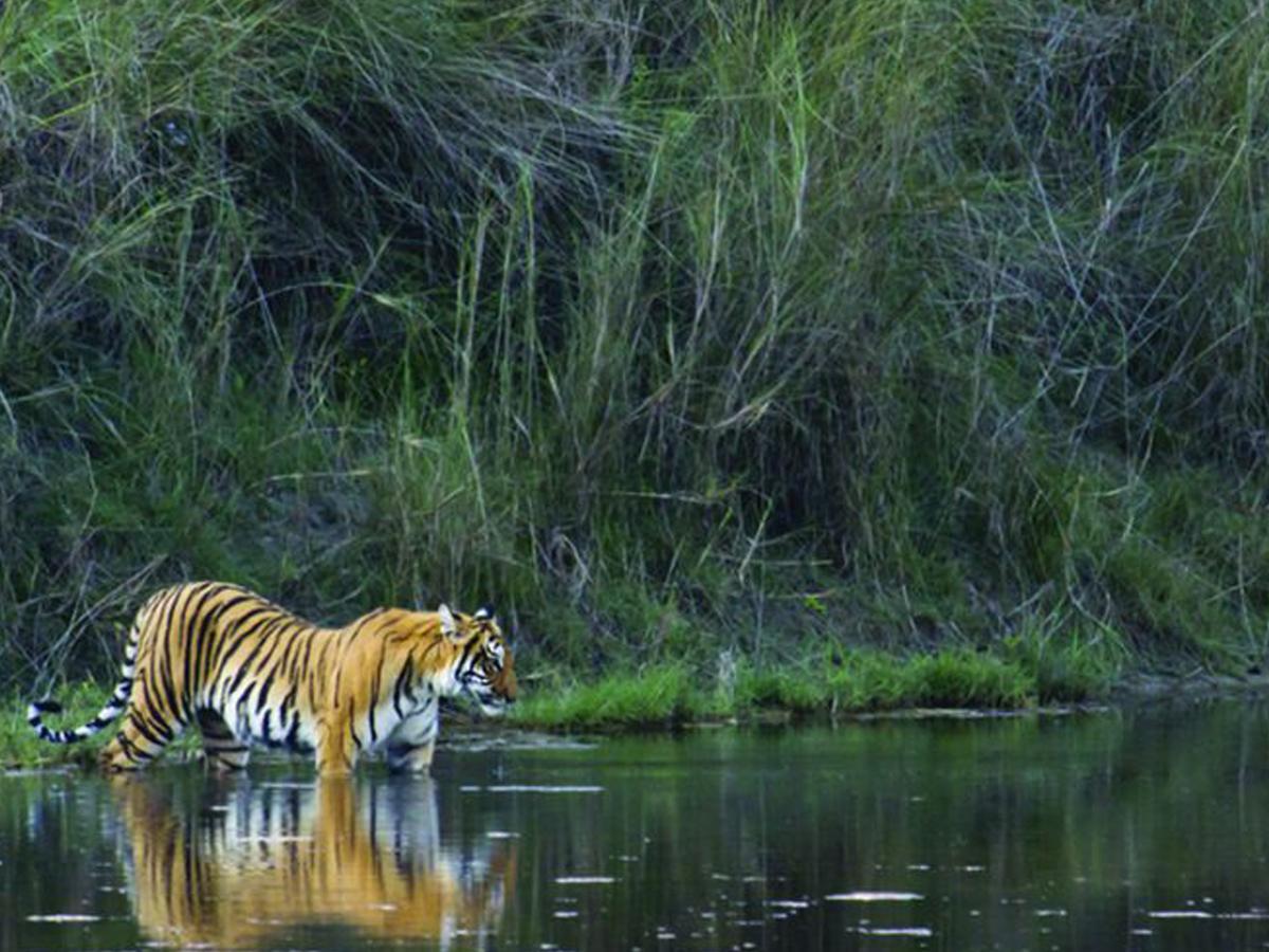Corbett Treat Resort Ramnagar  Bagian luar foto
